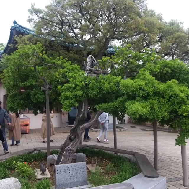 방울이
