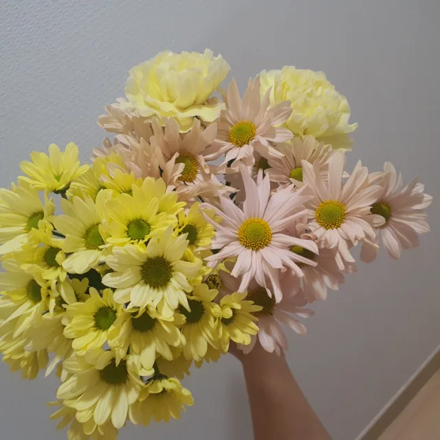 포근이