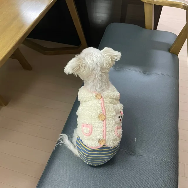바비맘