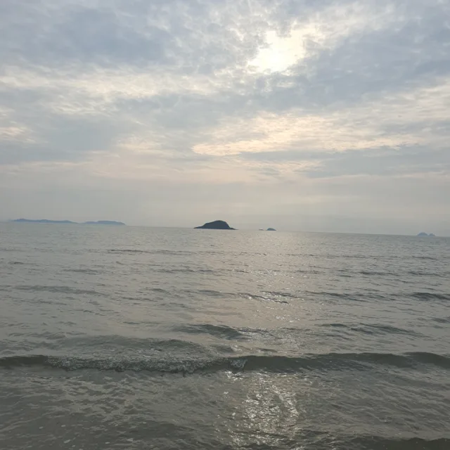 쿨쿨