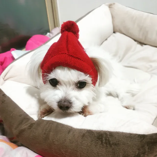 널사랑해