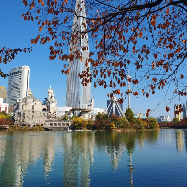 써니48