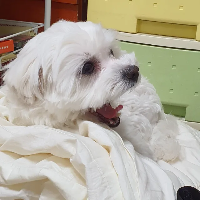 멈무