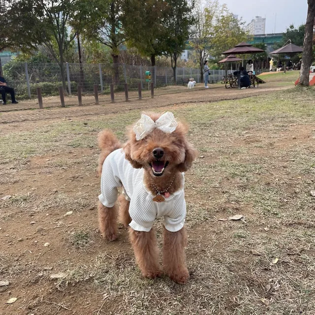 유니717