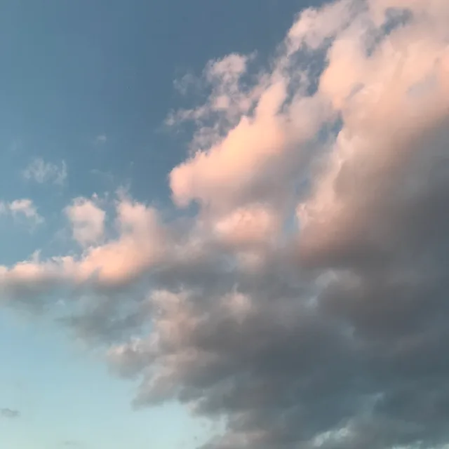 돌김