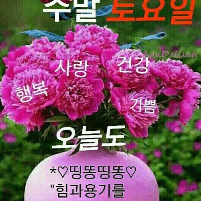세월을낚는나그네