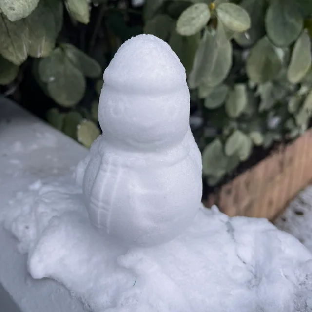 당근공주