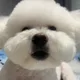 우주하루