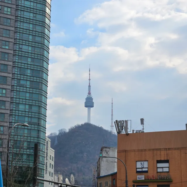 보보
