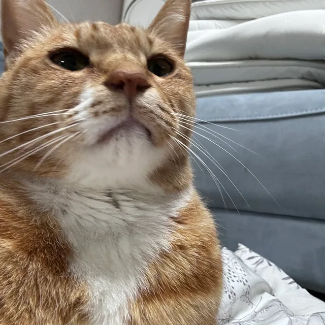 찐훈
