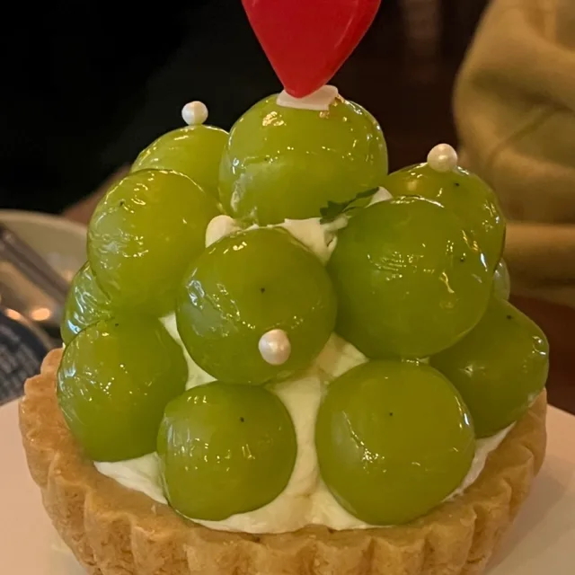 호야