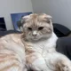 구왕원