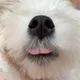 나낮여오어