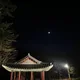 닥터페퍼