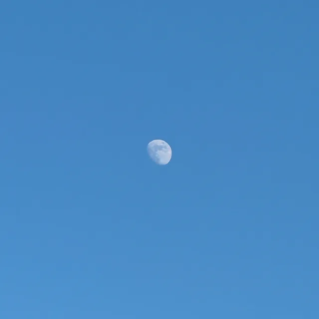 딸기타르트