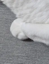 꾸꾸홍시