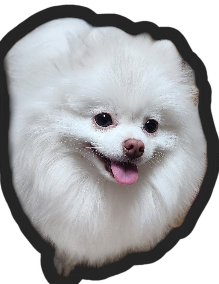 유니아빠