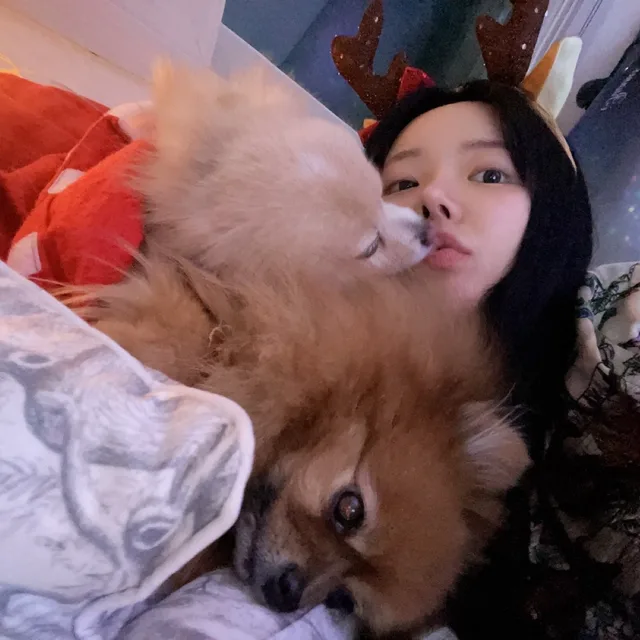 미니멀라이프도전