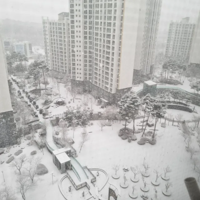웃음바이러스