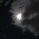 둘리둘