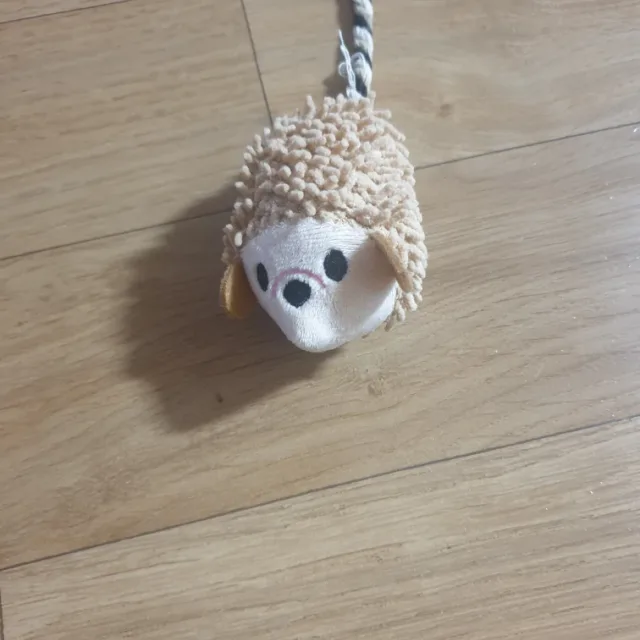고슴