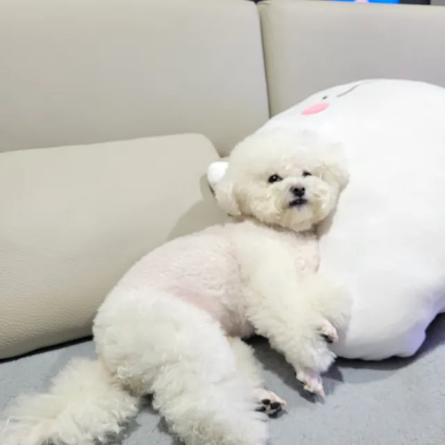몽글몽글
