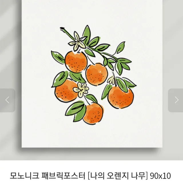 당근당근