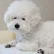 단지통통
