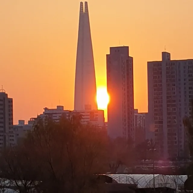 비상