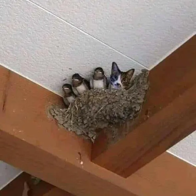 발효노동자