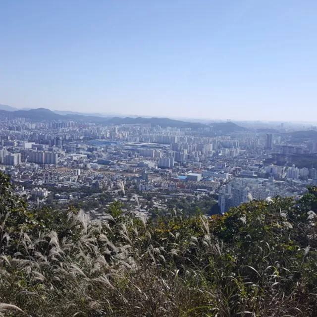 시골신사