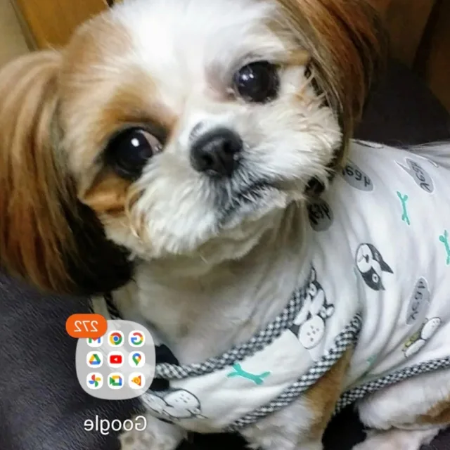메리
