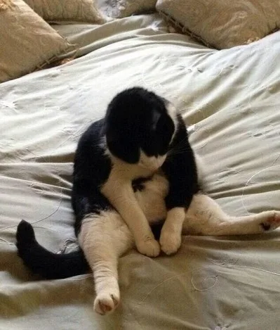 포카포카