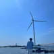 해리