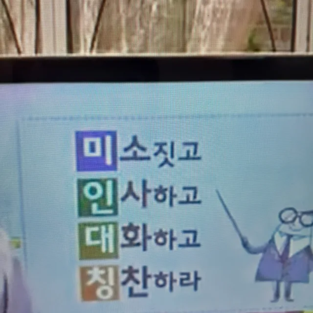 소나무
