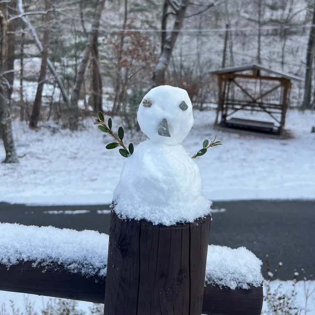 뽀송