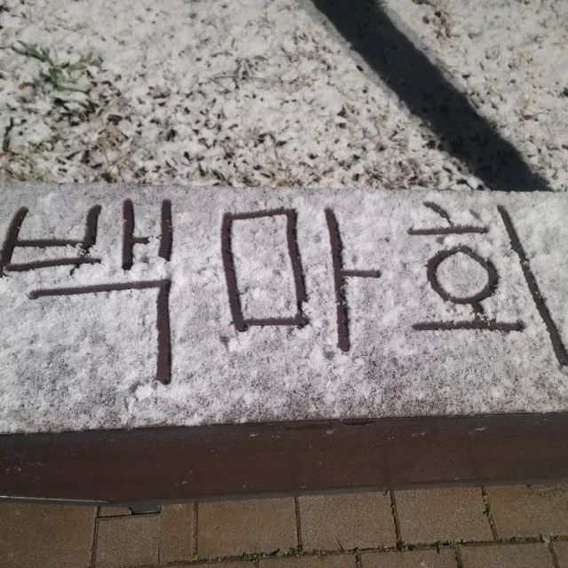 흙에살리라