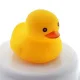 오리