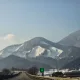 청파
