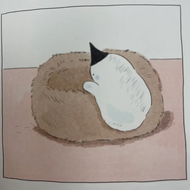 벼리퐁