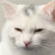 하루마루루루