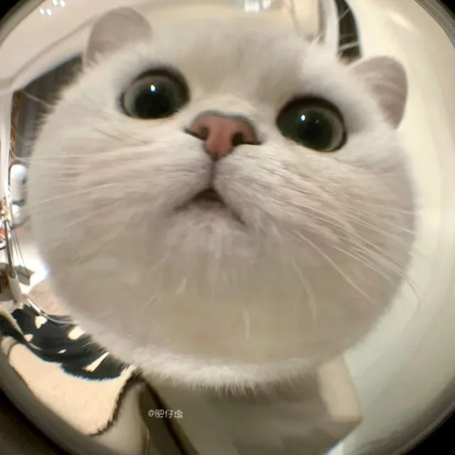 히히