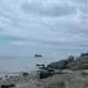 토마토