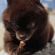 당근의온도