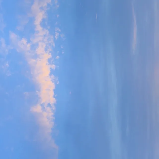 개굴