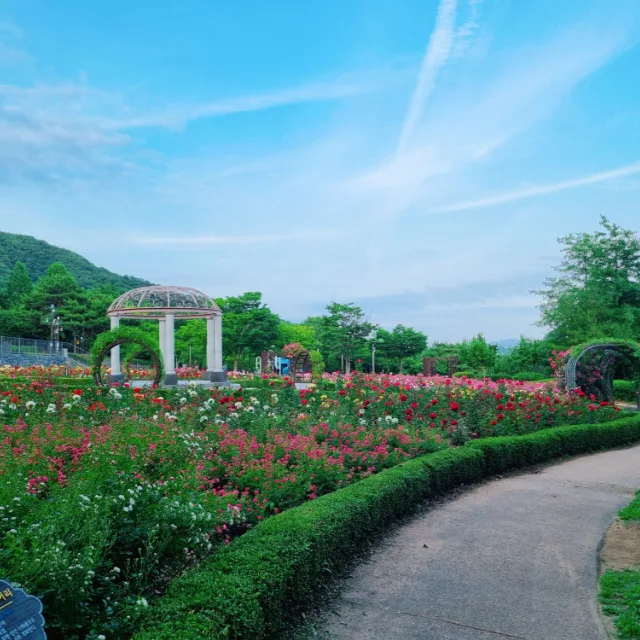 마루엄마