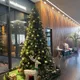 snowhite