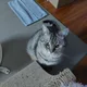 쭈꾸