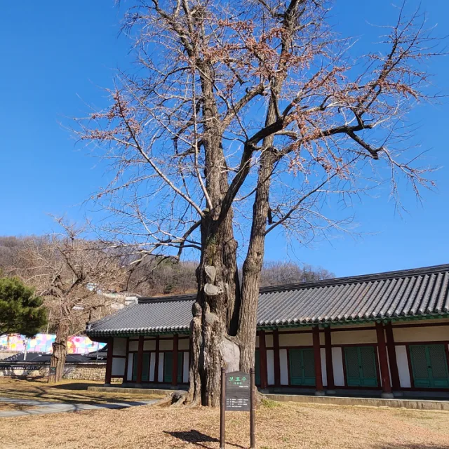나지롱