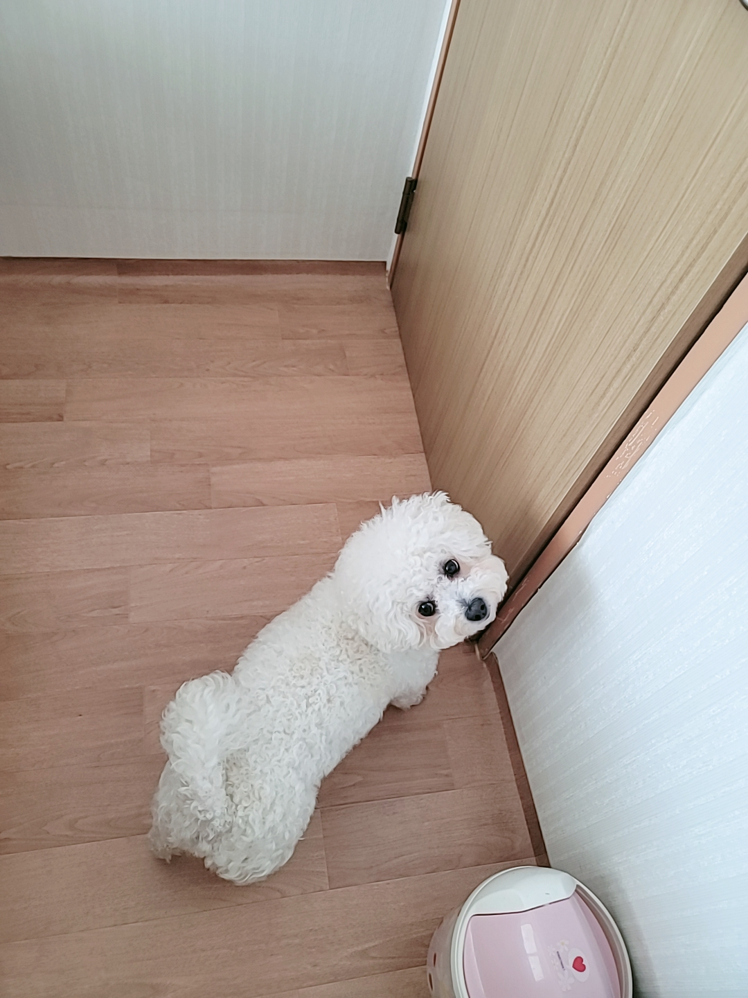 스몰오션